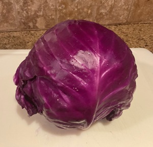 head of red cabbage